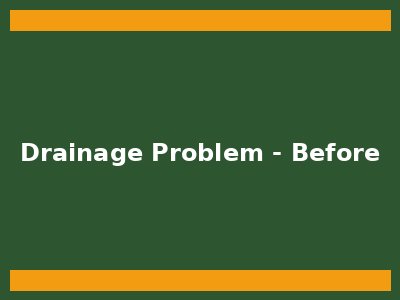 Yard drainage problem - before